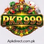 PlayRupees Game