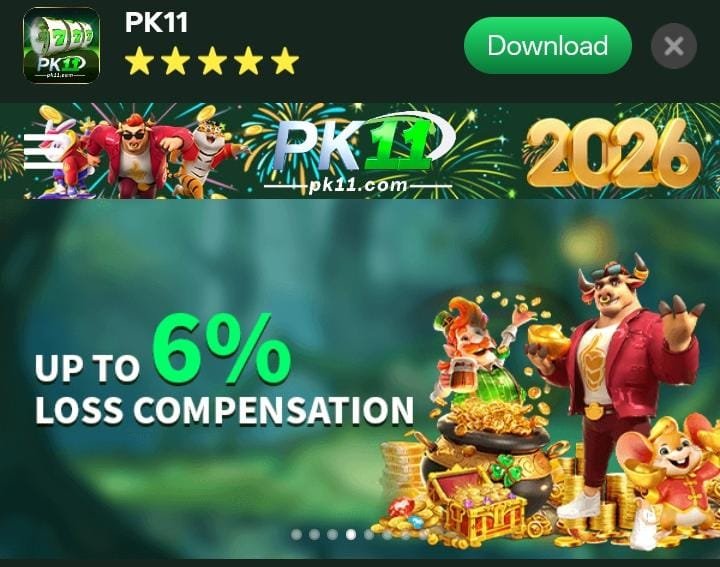 PK11 Game