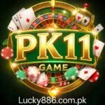 PK11 Game